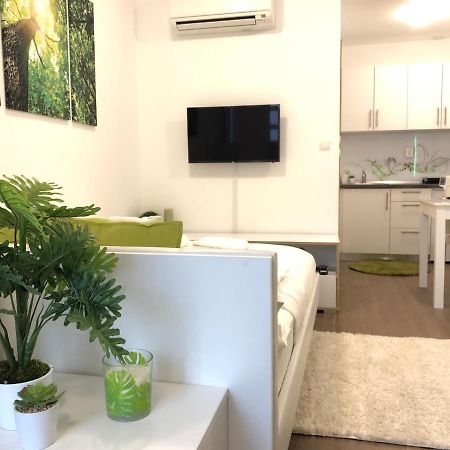 Luxury Central Studio Under The Castle Apartman Ljubljana Kültér fotó