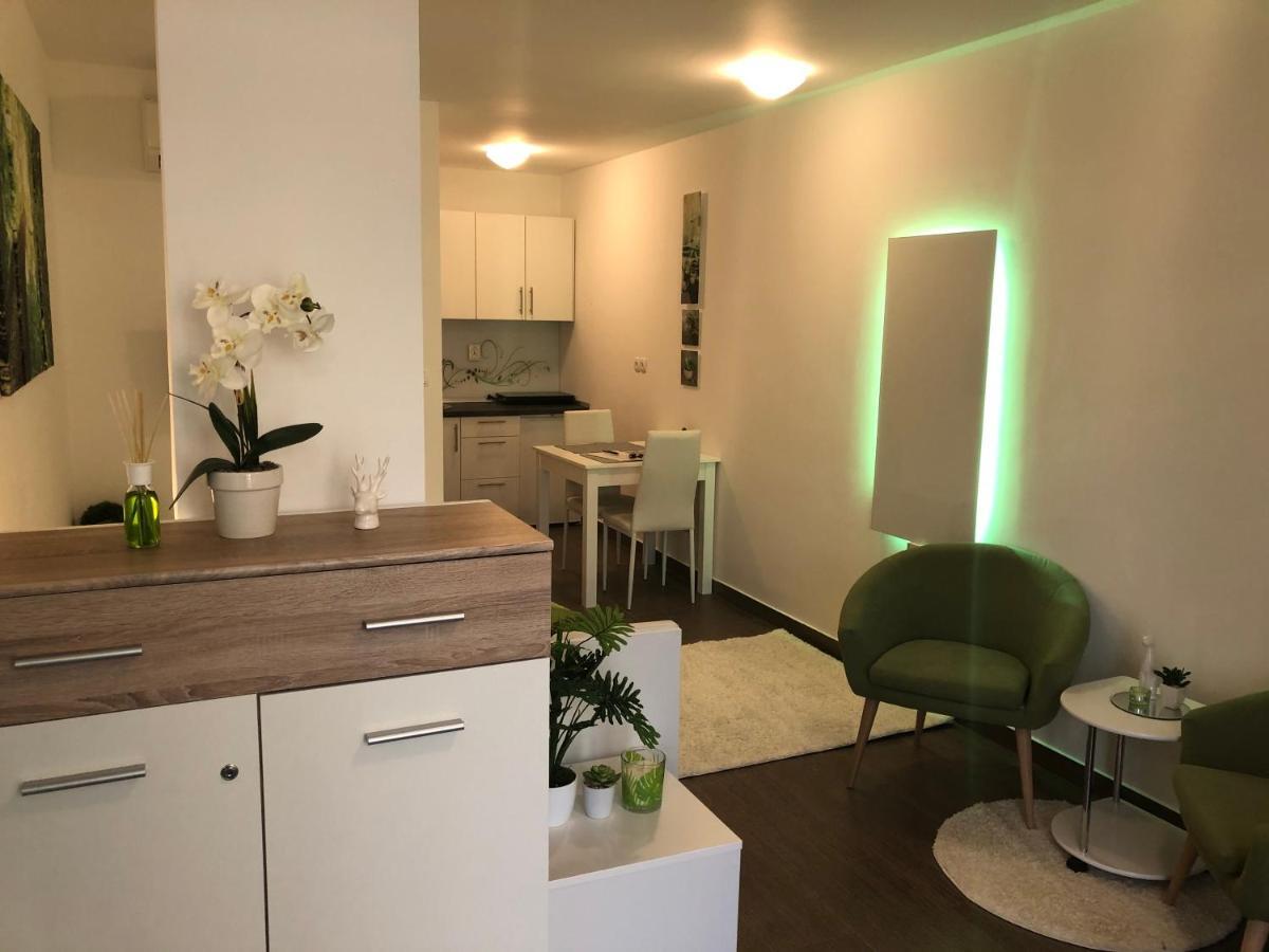 Luxury Central Studio Under The Castle Apartman Ljubljana Kültér fotó