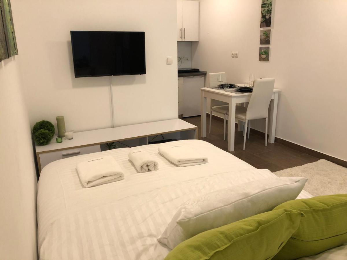 Luxury Central Studio Under The Castle Apartman Ljubljana Kültér fotó
